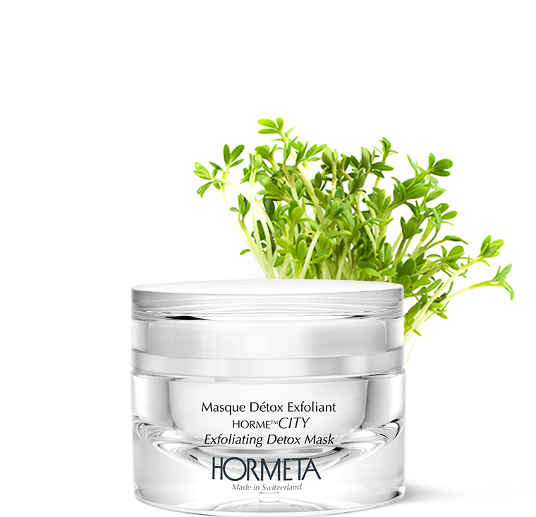 Masque Détox Exfoliant